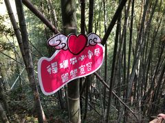 -宁波浙东大竹海景区