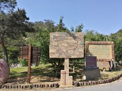 -金龙寺国家森林公园