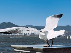 -海埂大坝