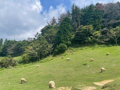 -神户市立六甲山牧场