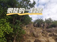 -阳台山森林公园