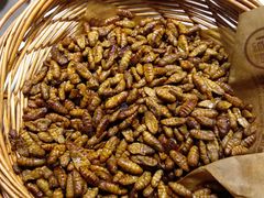 -孟家老厨(金域名城店)