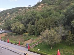 -延安杨家岭革命旧址