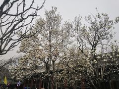 -颐和园