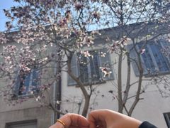 -上海佘山国家森林公园西佘山园