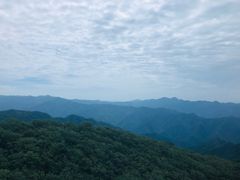 -牛背梁国家森林公园