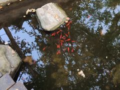 -俄罗斯风情小镇