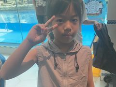 -帝企鹅自助餐厅•儿童岛•真企鹅(长隆企鹅酒店)