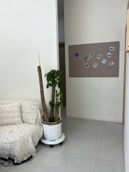 -苗方清颜专业祛痘·皮肤管理