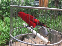 -南宫五洲植物乐园