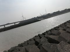-南汇嘴观海公园