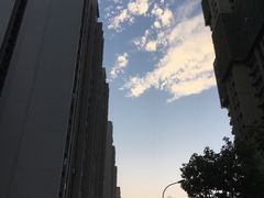 -小牛叔鲜切牛肉·火锅·烤肉自助(公济桥路店)