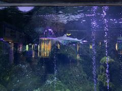 -荆州中山公园动物园