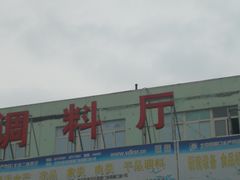 -四道口水产市场