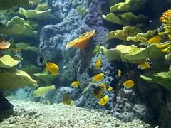 -福州罗源湾海洋世界旅游区