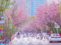 -岳阳道小学(大理道校区)