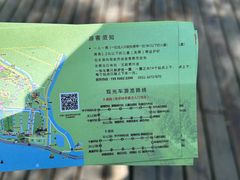 -合肥滨湖国家森林公园