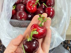 -大连熟食品交易中心