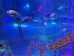 -沈阳海洋探索中心