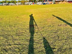 -春花秋色城市公园