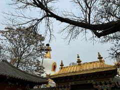 -护国法轮寺