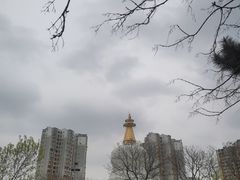-护国法轮寺