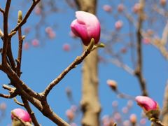 -重庆中央公园(渝北区)