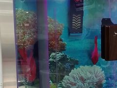 -雅悦齿科(顾村公园店)