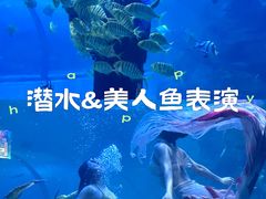 -左海海底世界