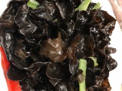 捞汁木耳-凯鸽酒楼(操场城店)