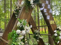 -黄海国家森林公园