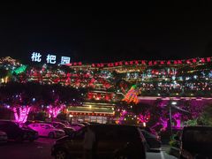 -枇杷园食为鲜火锅(南山店)