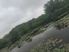 -白马涧龙池景区