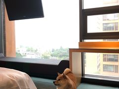 -佛山南海雅乐轩酒店