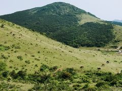-大姆山草场