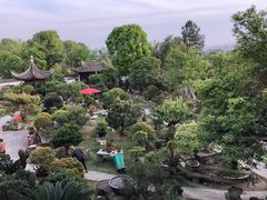 -万景茶庄·台州菜