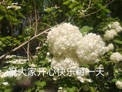 -北京奥林匹克公园