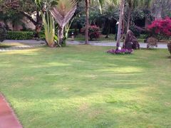 iphone_upload_pic-三亚亚龙湾凯莱仙人掌度假酒店