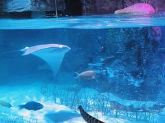 -沈阳海洋探索中心