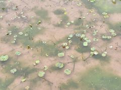 -沐仙湖湿地公园