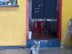 -锤子火锅(百步亭金桥汇2期店)