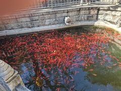 -红螺寺