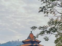 -顺峰山公园