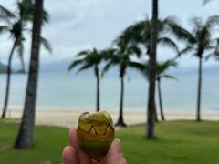 -三亚太阳湾柏悦酒店
