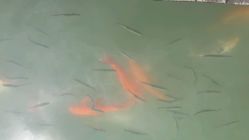 android_upload_pic-珍珠泉水上世界
