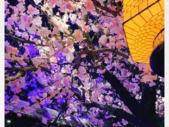-绿茶餐厅(松江万达店)