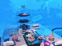 -海棠湾洲际-涛·海底餐厅·美人鱼·自助餐·海底隧道