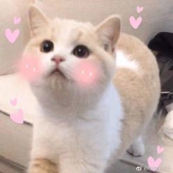 -印·Style造型创始店