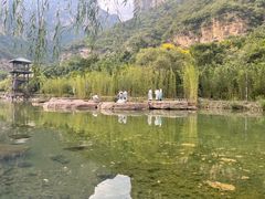 -云台山风景名胜区