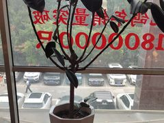 -鸽子侯·家宴·平价海鲜(市图书馆店)